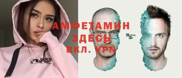 ПСИЛОЦИБИНОВЫЕ ГРИБЫ Вяземский